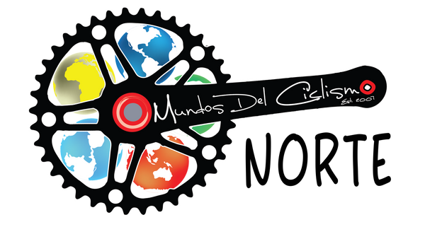 Logo with a stylized gear and colorful design elements on a white background